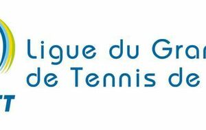 Questionnaire bilan Ligue du Grand Est de Tennis de Table