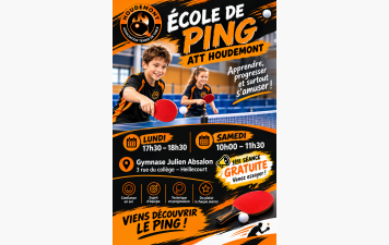 Ecole de ping
